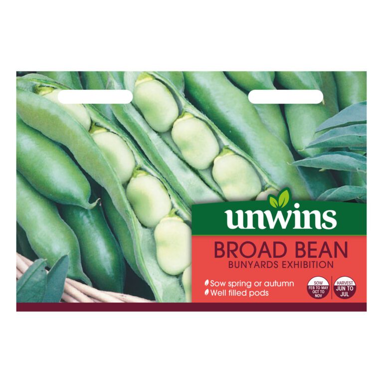 5051618032230 1 Broad Bean Bunyards Exhibition Seeds.jpg
